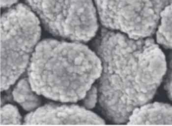 Fig. 3.  Bonded zirconia/ silica nano particles clustered  Fig. 4.  Ceramic clusters and cross-linked resin matrix 
