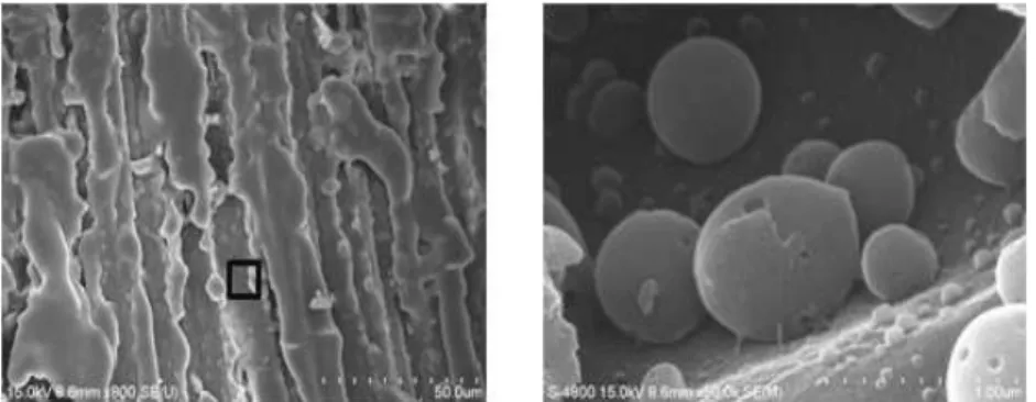 Fig. 5. FE-SEM images of hot water pre-extracted chip (H20) surface.