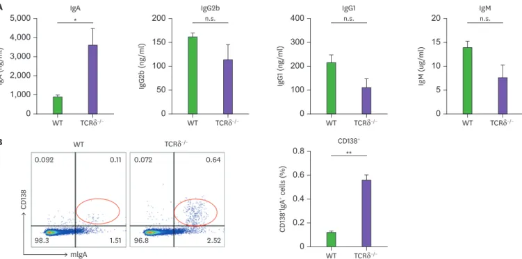 Figure 5. IgA production and mIgA expression in BM. (A) BM cells were cultured with LPS (12.5 µg/ml) for 7 days