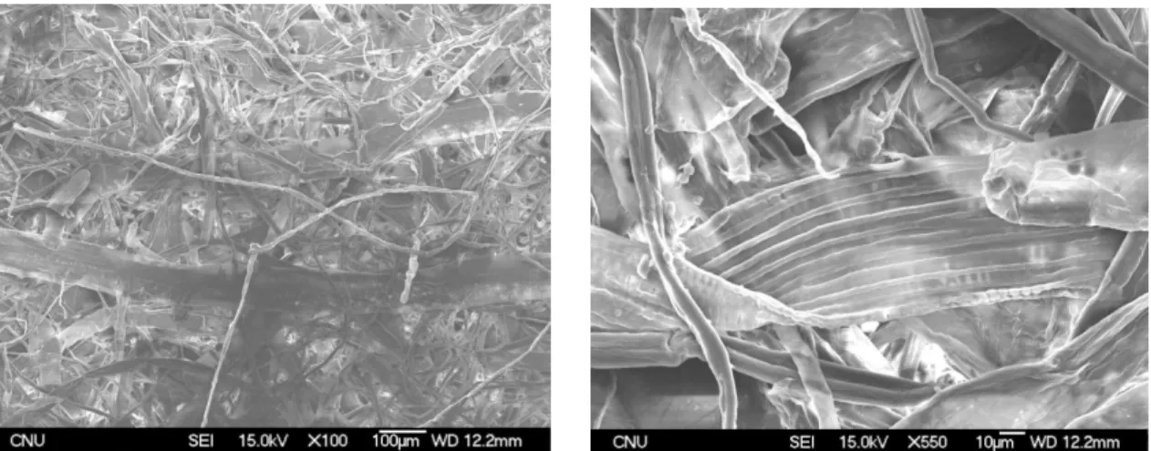 Fig. 1. Surface of handsheet paper made of the corn bast fibers detected by SEM (X 100, X 550)