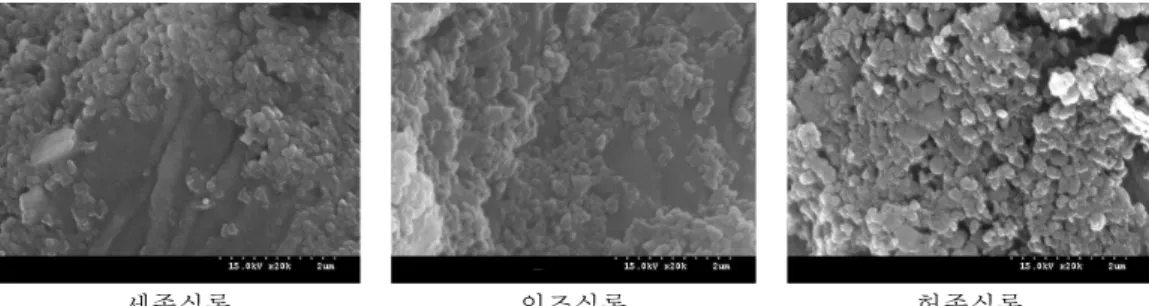 Fig 4. SEM image of ink on the inner paper in the Taebaeksan volume of Joseon Dynasty annals