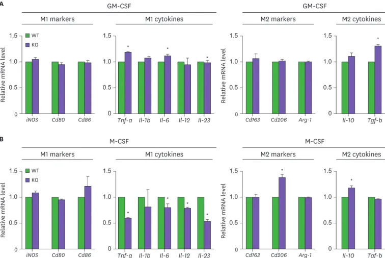 Figure 2. Viperin effects on the BMDMs differentiated with M-CSF or GM-CSF. The bone marrow cells were isolated from WT and viperin KO C57BL/6 mice and  differentiated into BMDMs in conditioned media