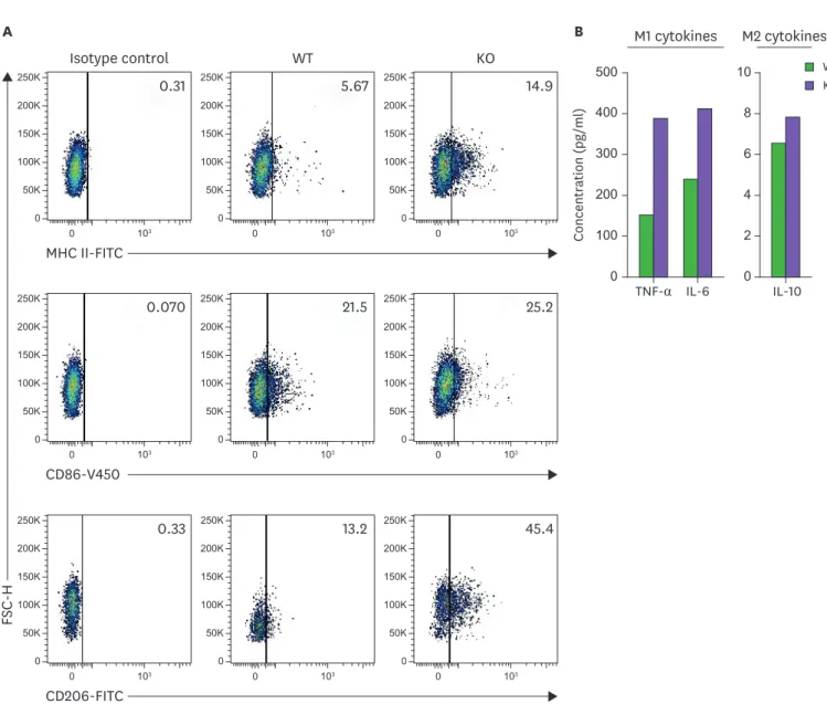 Figure 4. Viperin deficiency enhances expression of macrophage marker proteins and secretion of cytokines in the polarized macrophages