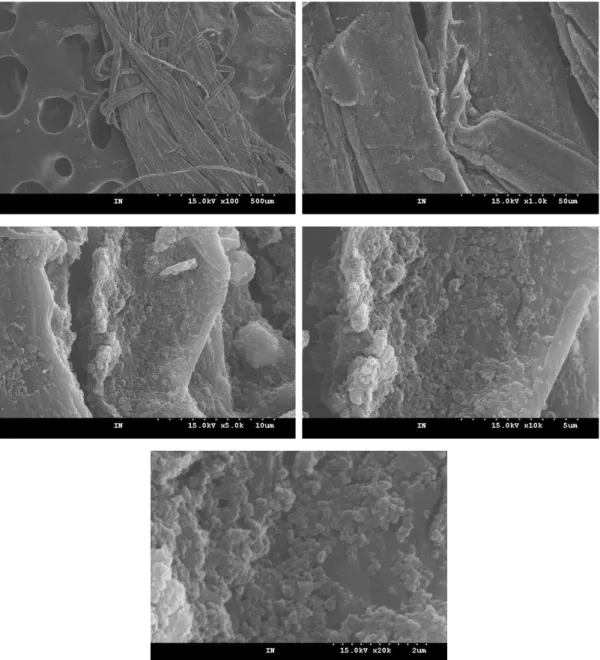 Fig 2. SEM image of ink on the inner paper in the Taebaeksan volume of Joseon Dynasty annals.