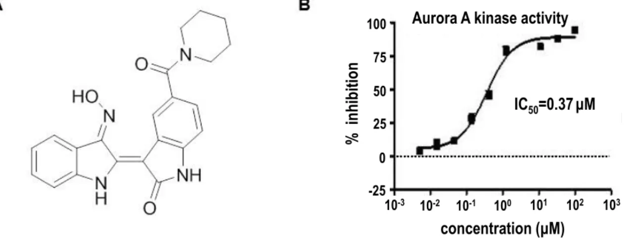 Figure 1. Inhibition of Aurora kinase A by LDD970. (A) Chemical structure of LDD970 compound