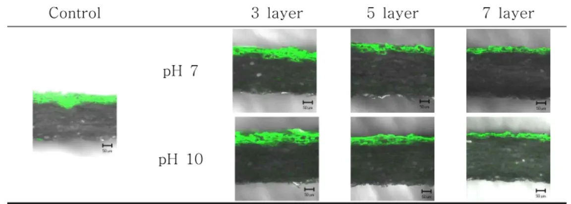Fig. 3. CLSM images of penetration depth with layer number and pH.