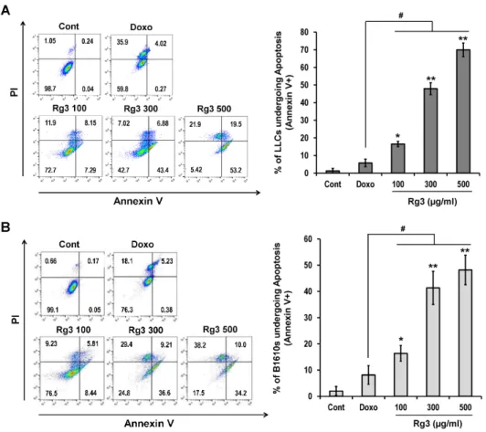 Figure 2. Apoptotic cell death  was observed in LLC (A) and  B16F10 (B) cell lines. Cells were  treated for 18 h with the indicated  Rg3 (100, 300, 500  μg/ml) and  Doxorubicin (0.01  μg/ml)  con-centrations