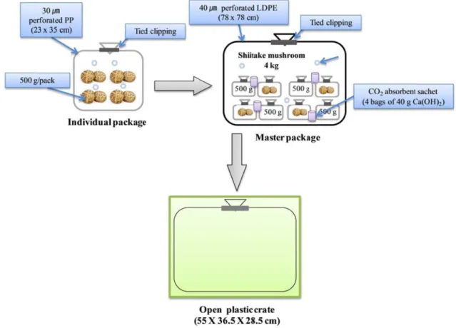 Fig. 1. Master packaging system of shiitake mushroom.