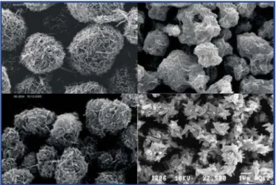 Fig. 3. Scanning electron microscope images of four silica  and calcium based fibrous fillers : silicate nano fibers(top  left), silicate micro fibers(top right), silicate micro fibers low  drying demand(bottom left), and super PCC(bottom right)