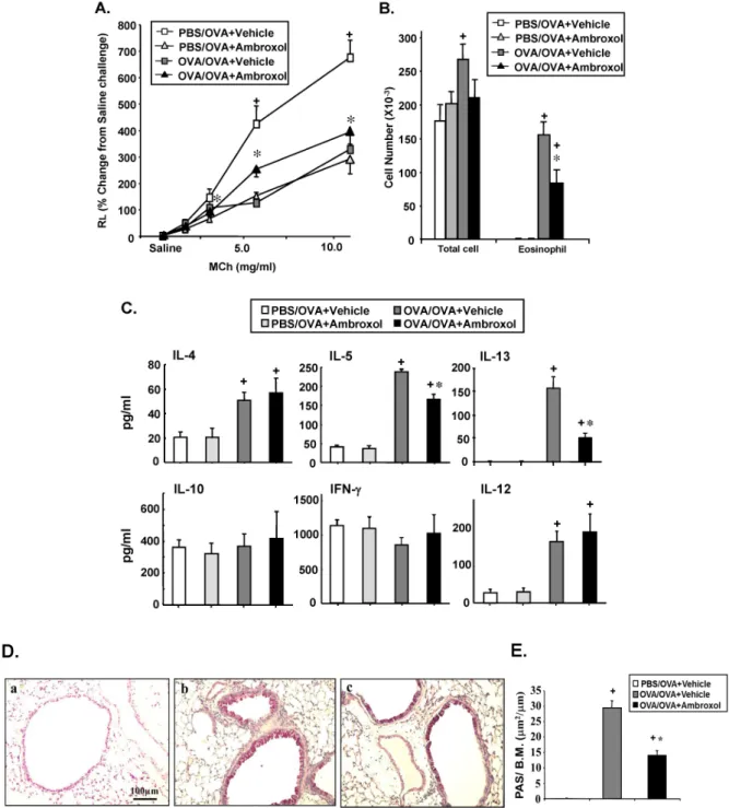 Figure 2. Effect of ambroxol on airway responses when administered prior to initiation of allergen challenge