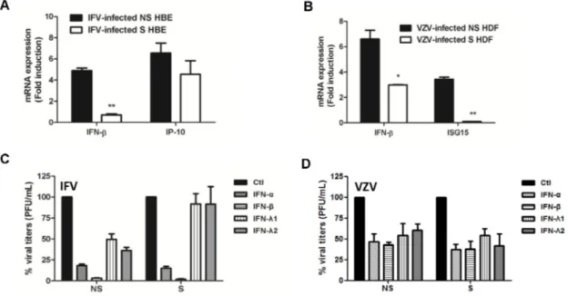 Figure 3. The effect of senescence on viral infection-induced IFN expression and IFN-mediated antiviral activities