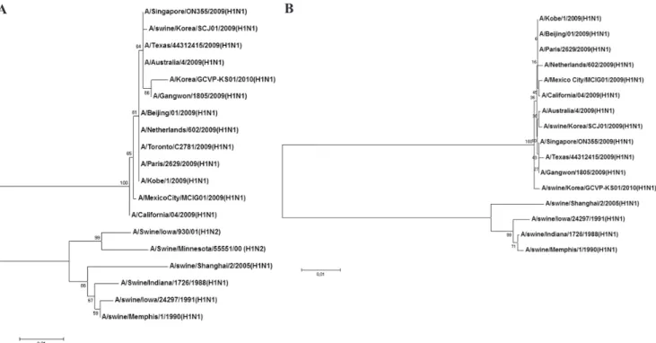 Figure 1. Phylogenetic analysis of the HA (A) and NA (B) gene sequences of A/swine/Korea/GCVP-KS01/2010 (H1N1)