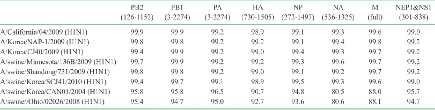Table I. Comparison of the sequence similarity of A/swine/Korea/GCVP-KS01/2010 (H1N1) compare with other strains (126-1152)PB2 PB1 (3-2274) PA (3-2274) HA (730-1505) NP (272-1497) NA (536-1325) M (full) NEP1&amp;NS1(301-838) A/California/04/2009 (H1N1)  99