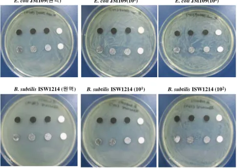 Fig.  2.  Result  of  the  second  antibiosis  test.