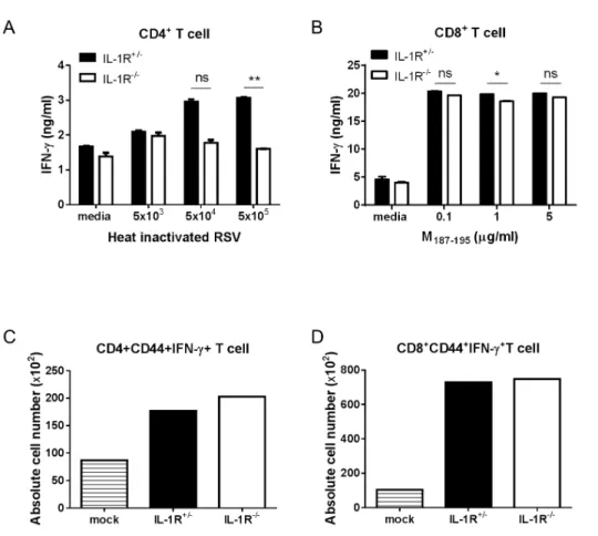 Figure 5. IL-1R signaling is not  required for the induction of Th1  and CTL priming against RSV  infection