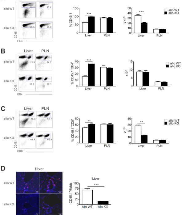Figure 2. Effect of MyD88 deficiency in TCD-BM on the expansion and infiltration of donor-type T cells in liver and peripheral lymph  nodes (PLN)