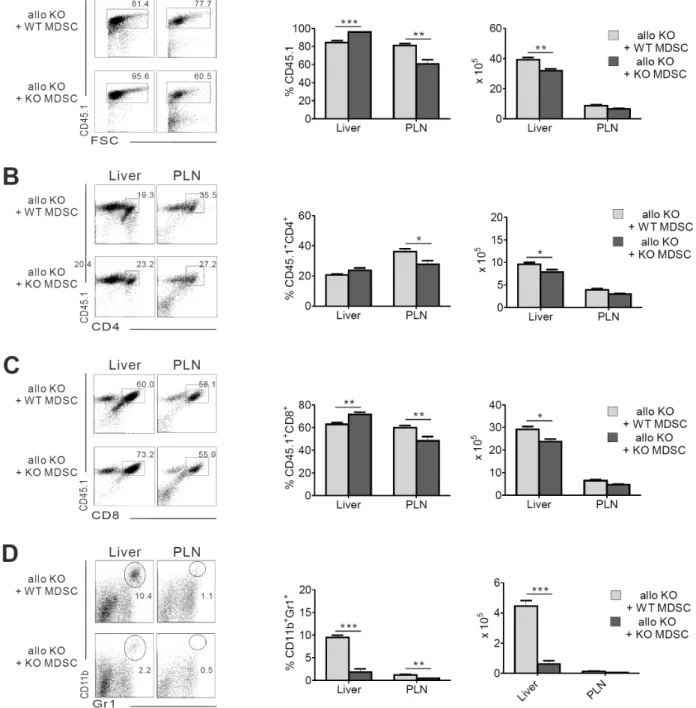 Figure 4. Injection of CD11b ＋ Gr-1 ＋  MDSC from WT mice, but not MyD88KO mice, enhances donor T-cell infiltration into the livers