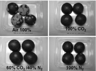 Fig. 2. Occurrence of decay in the steamed breads packaged under different MAP conditions and stored at 20 o C