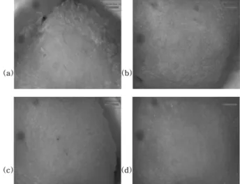 Fig. 6. Effect of washing methods on surface of fresh-cut Deodeok after 10 storage days.