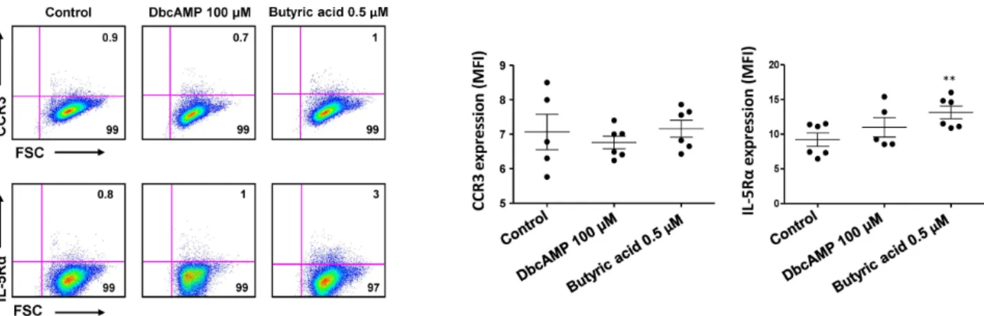 Figure 3. Effects of dbcAMP and butyric acid on the expression of CCR3 and IL-5Rα in EoL-1 cells
