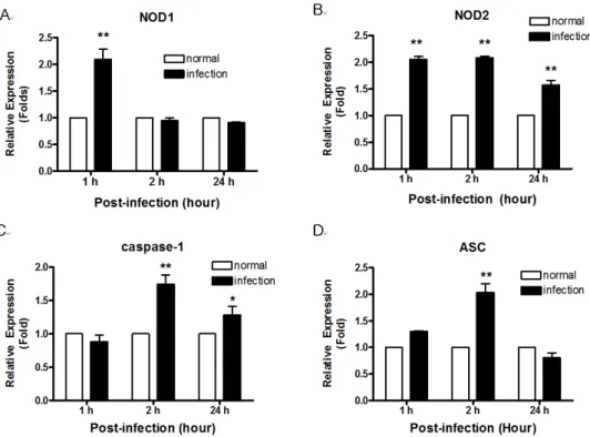 Figure 2. The expression of NOD- related genes in mouse footpads infected with M. leprae by determined by real-time PCR