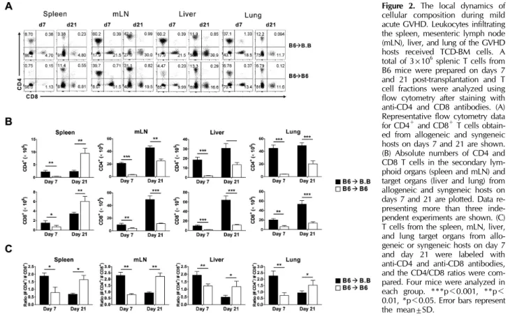 Figure 2. The local dynamics of  cellular composition during mild  acute GVHD. Leukocytes infiltrating  the spleen, mesenteric lymph node  (mLN), liver, and lung of the GVHD  hosts received TCD-BM cells