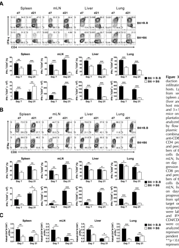 Figure 3. Dynamics of IFN-γ pro- pro-duction by CD4 and CD8 T cells  infiltrating the organs of GVHD  hosts