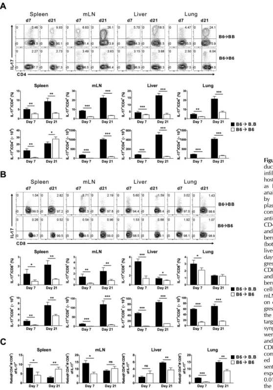 Figure 4. Dynamics of IL-17 pro- pro-duction by CD4 and CD8 T cells  infiltrating the organs of GVHD  hosts