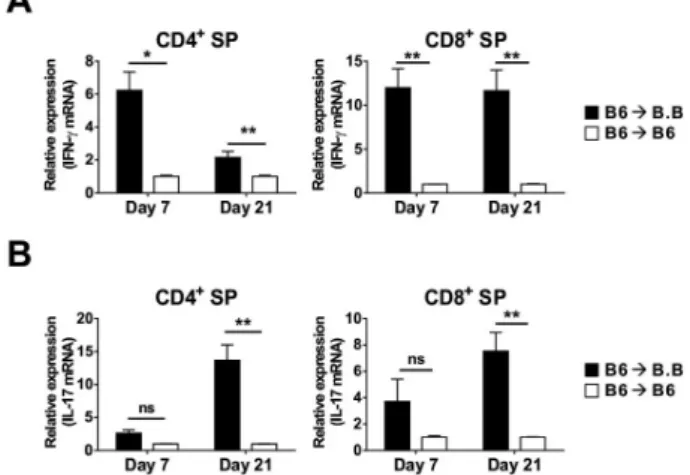 Figure 5. Dynamics of cytokine production in CD4 and CD8 T cells. 