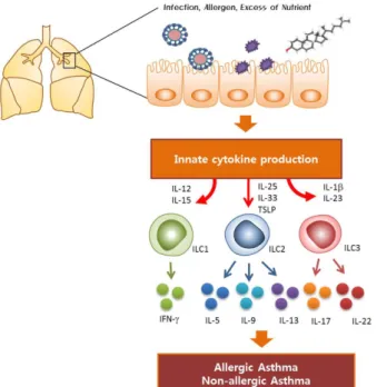 Figure 1. Schematic of innate lymphoid cell function in the  development of asthma. Viruses (influenza A virus, rhinovirus, and  respiratory syncytial virus), allergens (ovalbumin, human dust mite,  papain, etc.), or excess nutrients induce lung epithelial