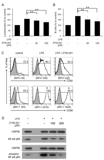 Figure 1. Effect of ZYM-201 on the activation of LPS-stimulated B cells  in vitro. (A) and (B) Relative percentages of lymphocytes and B cells