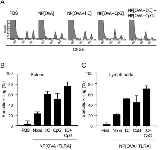 Figure 1. The CTL inducing activi- activi-ties of the nanoparticles. The  nano-particles containing OVA only (NP  [OVA]), both OVA and poly-IC (NP  [OVA＋I：C], or both OVA and  CpG ODN (NP[OVA＋CpG]) were  injected intravenously into tail veins of mice