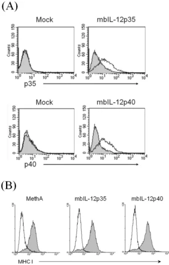 Figure 1. Expression of mbIL-12p35, mbIL-12p40, and MHC class I  molecules on transfected MethA tumor cell clones