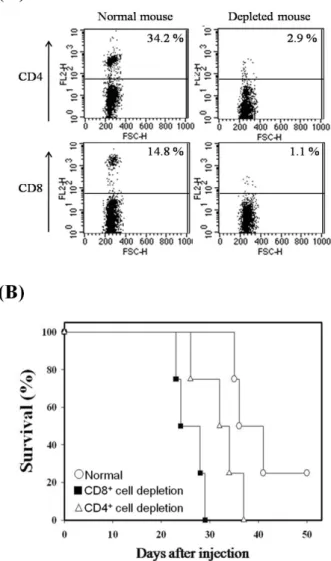 Figure 4. Survival of T cell subset-depleted mice injected with mbIL-  12p35 expressing tumor clone