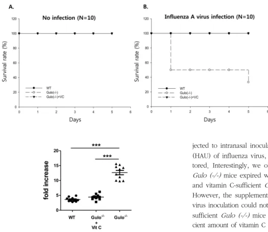 Figure 1. Increase of mortality of  vitamin C-insufficient Gulo (-/-) mice by the infection of influenza A virus.