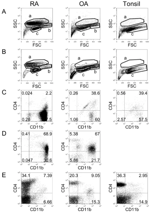 Figure 1. Flow cytometric analysis  of cell populations in RA, OA, and  tonsil showing by dot plots (A) and  contour plots (B)
