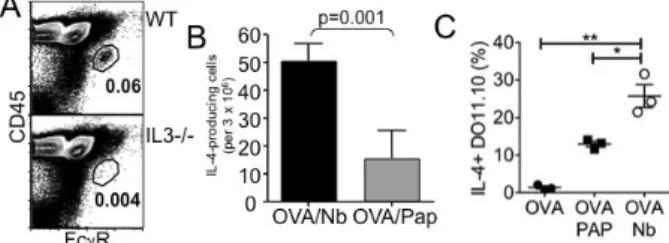 Figure 3. Nonviable  N. brasiliensis immunization induces Th2  immunity. (A) WT or IL-3 −/−  mice were immunized with 100μg  OVA protein plus 500 dead L3 Nb parasites into the ear pinnae