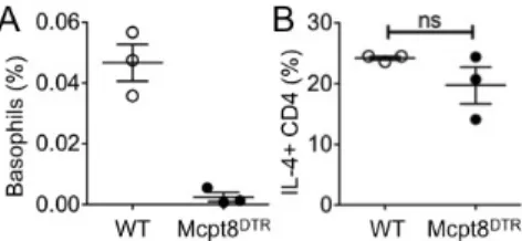 Figure 5. MHC II expression and Ag uptake of LN cells. (A) BALB/c  mice were immunized with OVA plus papain or OVA plus dead Nb  as indicated