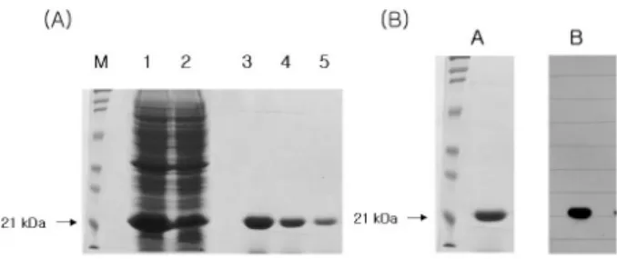 Figure 1. Molecular cloning, functional expression and purification of  recombinant Der f 2