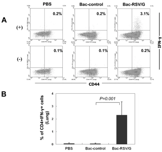Figure 3. G-specific Th1-cell res- res-ponse in Bac-RSV/G-immune mice. 