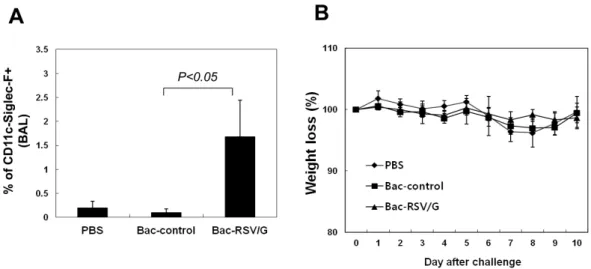 Figure 7. Bac-RSV/G immunization promotes neither lung eosinophilia nor vaccine-enhanced illness