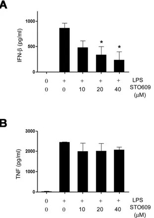 Figure 5. The release of IFN-β depends on CaMK signaling pathway in vivo. (A and B) Serum levels of IFN-β (A) and TNF (B) in B6  mice treated with LPS (50 mg/kg) plus various doses of STO609 or  vehicle (DMSO) were measured by ELISA (n=4)
