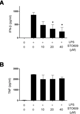Figure 5. The release of IFN-β depends on CaMK signaling pathway in vivo. (A and B) Serum levels of IFN-β (A) and TNF (B) in B6  mice treated with LPS (50 mg/kg) plus various doses of STO609 or  vehicle (DMSO) were measured by ELISA (n=4)