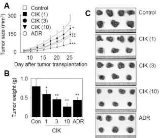 Figure 4. Body weight changes of tumor-bearing nude mice. Nude mice (n=7) were implanted subcutaneously with nine million AsPC-1 cancer cells