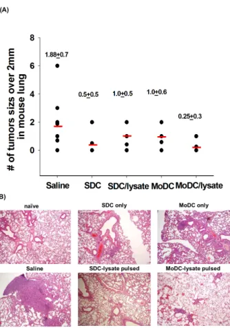 Figure 5. Induction of tumor antigen-specific IFN-secreting cells. 