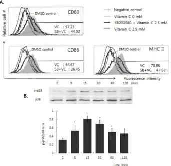 Figure 3. Vitamin C up-regulates CD80, CD86 and MHC class II  expression on DC-1 via the activation of p38 MAPK