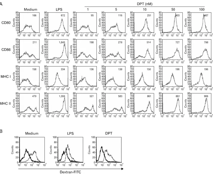 Figure 2. DPT induces the expression of MHC class I and II, co-stimulatory molecules in a dose-dependent manners and decreased endocytic  capacity in DCs