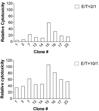 Figure 2. Cytotoxicity of H60-specific CTL clones. CTL clones were  incubated with  51 Cr-labeled T2-K b  cells after loading with H60 or VSV peptide at the E：T ratios of 2：1 and 10：1