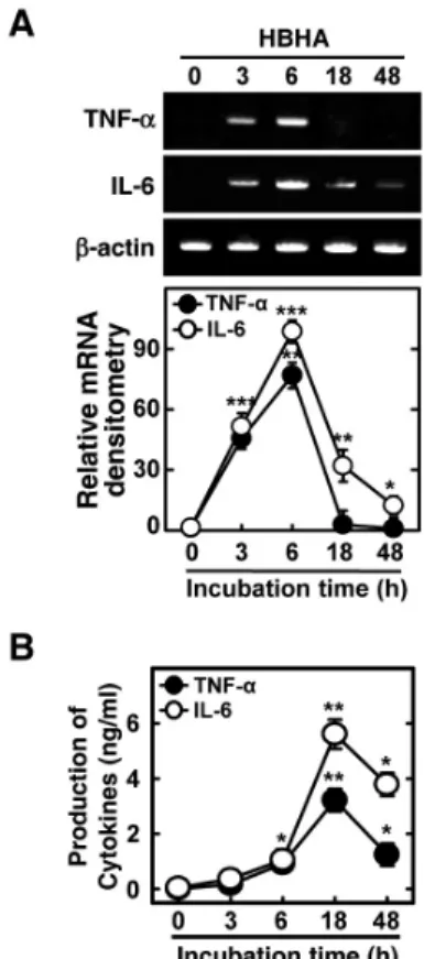 Figure 1. Kinetics of proinflammatory responses induced by HBHA  in macrophages. BMDMs were stimulated with HBHA (1μg/ml) for  the indicated periods of time