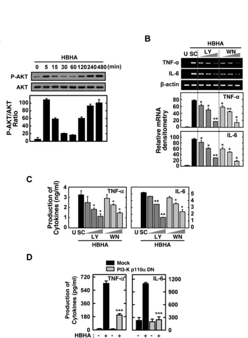 Figure 4. Effects of the PI3-K/Akt signaling pathways on HBHA-induced TNF-α and IL-6 expression by macrophages